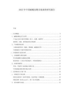 2025年中國耐酸高靴市場調查研究報告