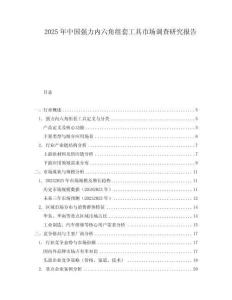 2025年中國強(qiáng)力內(nèi)六角組套工具市場調(diào)查研究報告