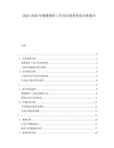 2025-2030年鉚紫銅管工具項目投資價值分析報告