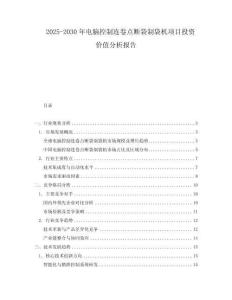 2025-2030年電腦控制連卷點斷袋制袋機項目投資價值分析報告