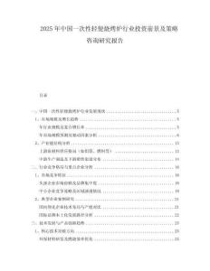 2025年中國一次性輕便燒烤爐行業投資前景及策略咨詢研究報告