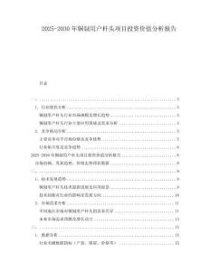 2025-2030年銅制用戶桿頭項目投資價值分析報告