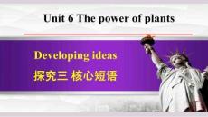 外研七年級英語上冊Unit 6 Developing ideas《合作探究三》課件