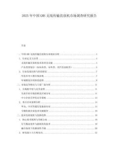 2025年中國GMS無線傳輸直放機市場調查研究報告