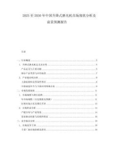 2025至2030年中國升降式磨光機市場現狀分析及前景預測報告