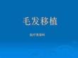 毛發(fā)移植1