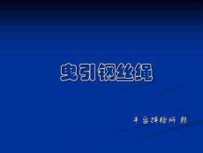 電梯鋼絲繩.共40頁