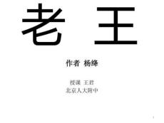 王君《老王》