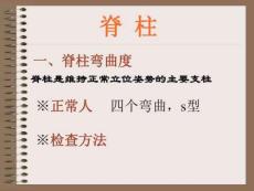 脊柱及四肢