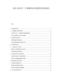 2025-2030年一字型胸罩項目投資價值分析報告