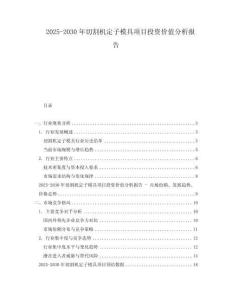 2025-2030年切割機定子模具項目投資價值分析報告