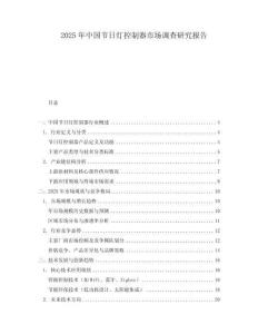 2025年中國(guó)節(jié)日燈控制器市場(chǎng)調(diào)查研究報(bào)告