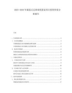 2025-2030年通道式無堵塞紙漿泵項目投資價值分析報告
