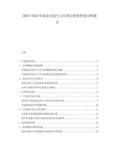 2025-2030年氙鹵式氙氣大燈項目投資價值分析報告