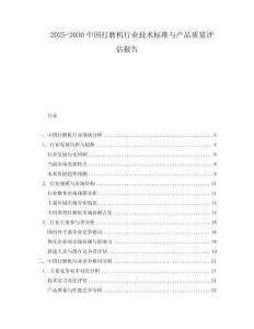 2025-2030中國打磨機行業技術標準與產品質量評估報告