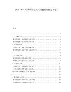2025-2030年紫銅管接頭項目投資價值分析報告