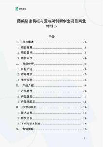 藤編浴室鏡框與置物架創新創業項目商業計劃書