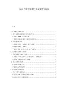 2025年酰胺吡酮行業(yè)深度研究報告