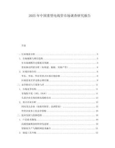 2025年中國(guó)重型電線(xiàn)管市場(chǎng)調(diào)查研究報(bào)告