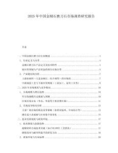 2025年中國(guó)金剛石磨刀石市場(chǎng)調(diào)查研究報(bào)告