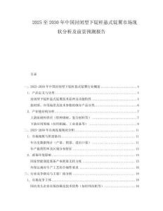 2025至2030年中國封閉型下錠桿懸式錠翼市場現狀分析及前景預測報告