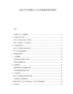 2025年中國(guó)牦牛干巴市場(chǎng)調(diào)查研究報(bào)告
