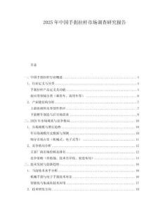 2025年中國手剎拉桿市場調查研究報告