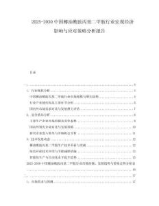 2025-2030中國椰油酰胺丙基二甲胺行業宏觀經濟影響與應對策略分析報告
