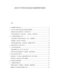 2025年中國有功電度表市場調(diào)查研究報告