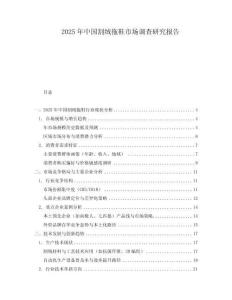 2025年中國割絨拖鞋市場調查研究報告
