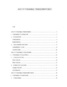 2025年中國油桶起子數據監測研究報告