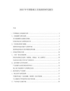 2025年中國粉刺王市場調查研究報告