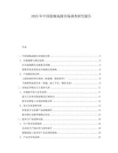 2025年中國藍(lán)梅湯圓市場調(diào)查研究報告