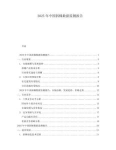 2025年中國斜梯數據監測報告