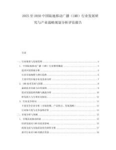 2025至2030中國陸地移動廣播（LMR）行業發展研究與產業戰略規劃分析評估報告