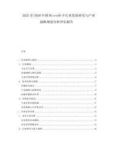2025至2030中國MicroSD卡行業(yè)發(fā)展研究與產業(yè)戰(zhàn)略規(guī)劃分析評估報告