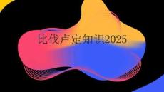 比伐盧定知識2025