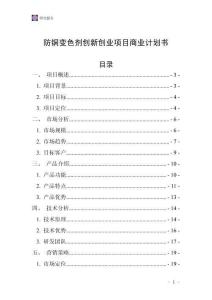 防銅變色劑創新創業項目商業計劃書