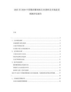2025至2030中國數控雕刻機行業調研及市場前景預測評估報告