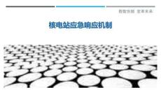 核電站應(yīng)急響應(yīng)機(jī)制最佳分析