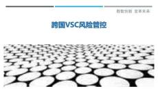 跨國VSC風險管控最佳分析