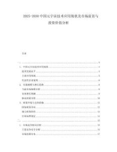 2025-2030中國元宇宙技術應用現狀及市場前景與投資價值分析
