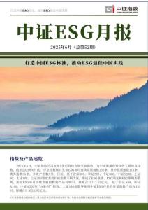 中證ESG月報（2025年6月）-14頁