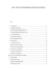 2025-2030年環(huán)氧硝基漆項目投資價值分析報告