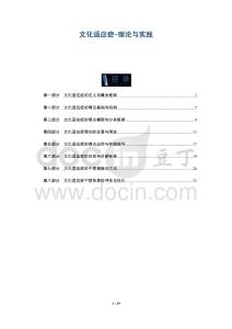 文化適應癥-理論與實踐-洞察及研究