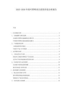 2025-2030年荷葉野鴨項目投資價值分析報告