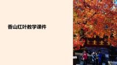 香山紅葉教學(xué)課件