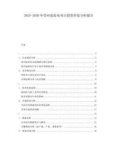 2025-2030年帶襯底膠布項目投資價值分析報告