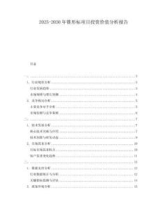 2025-2030年錐形標項目投資價值分析報告