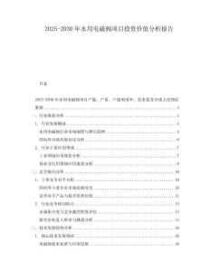 2025-2030年水用電磁閥項(xiàng)目投資價(jià)值分析報(bào)告